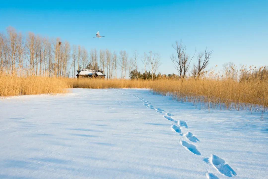 新雪玲珑，梅花欲开（唯美的10首冬至诗词）