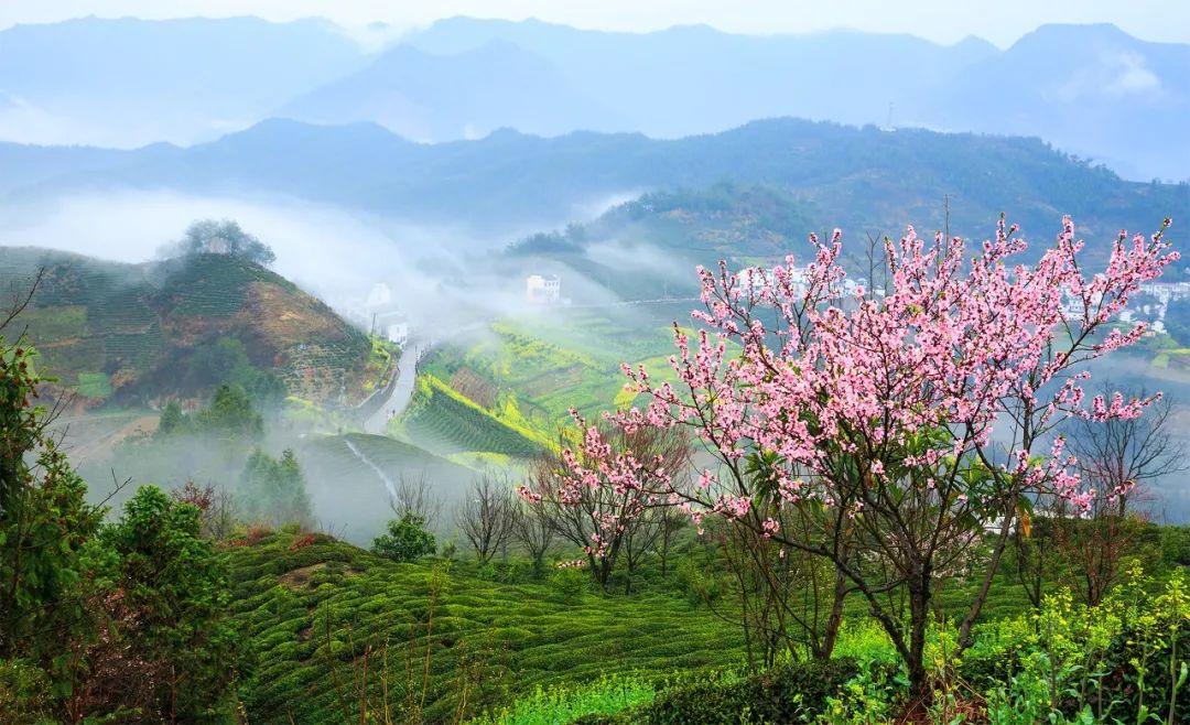 一年一度一清明，一伤一念一追思（6首优美清明诗词）