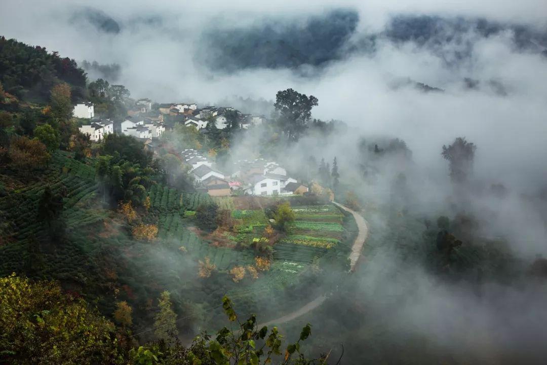 山水田园，诗情画意（九首村居诗词经典）