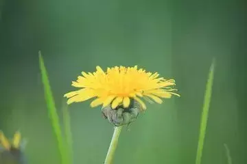 红了樱桃，绿了芭蕉（十首红尘诗词著名）