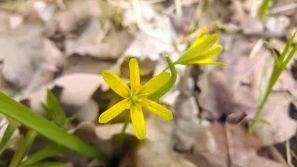 红了樱桃，绿了芭蕉（十首红尘诗词著名）