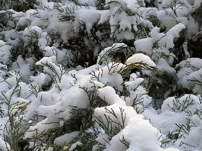 描写雪后景色的好词好句（素装之美）