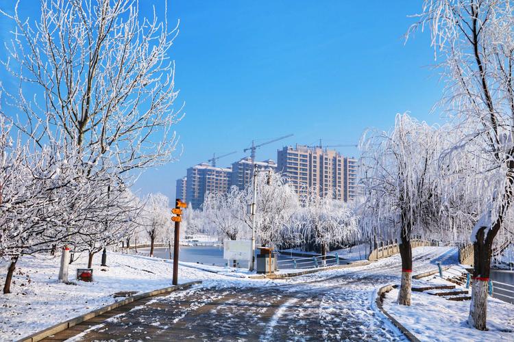 描写雪的优美句子摘抄大全（用25句唯美的长句子，带你领略雪的魅力）