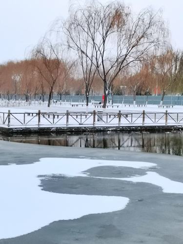 描写雪的优美句子摘抄大全（用25句唯美的长句子，带你领略雪的魅力）