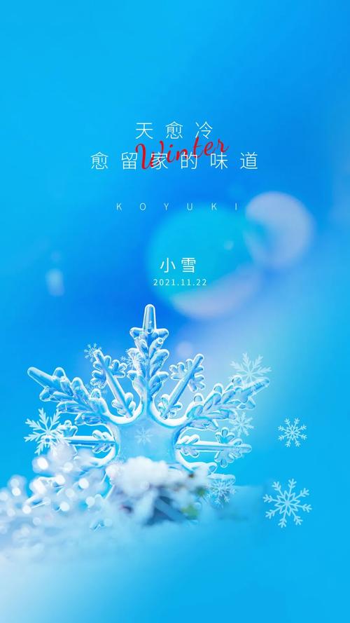 有关描写小雪节气的唯美句子的句子有哪些（小雪节气的唯美短句）