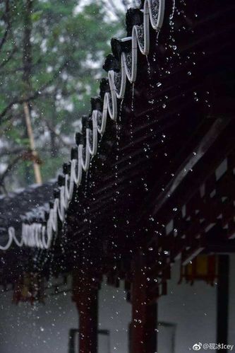 描写夏雨的语句（夏雨中的诗意）