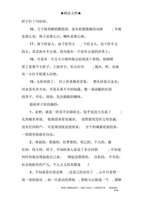 关于文学的好段（纸上青春，岁月长存）