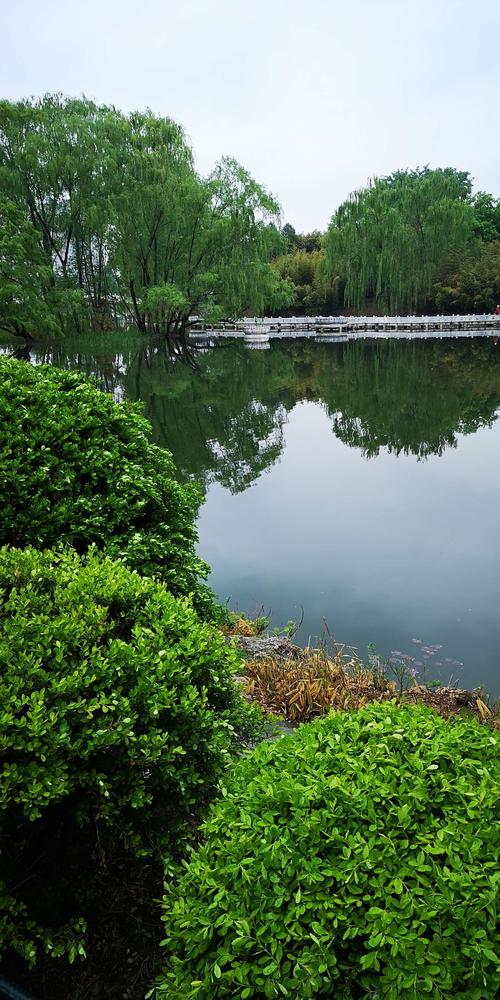 描写谷雨的优好听的美句子（谷雨时节）