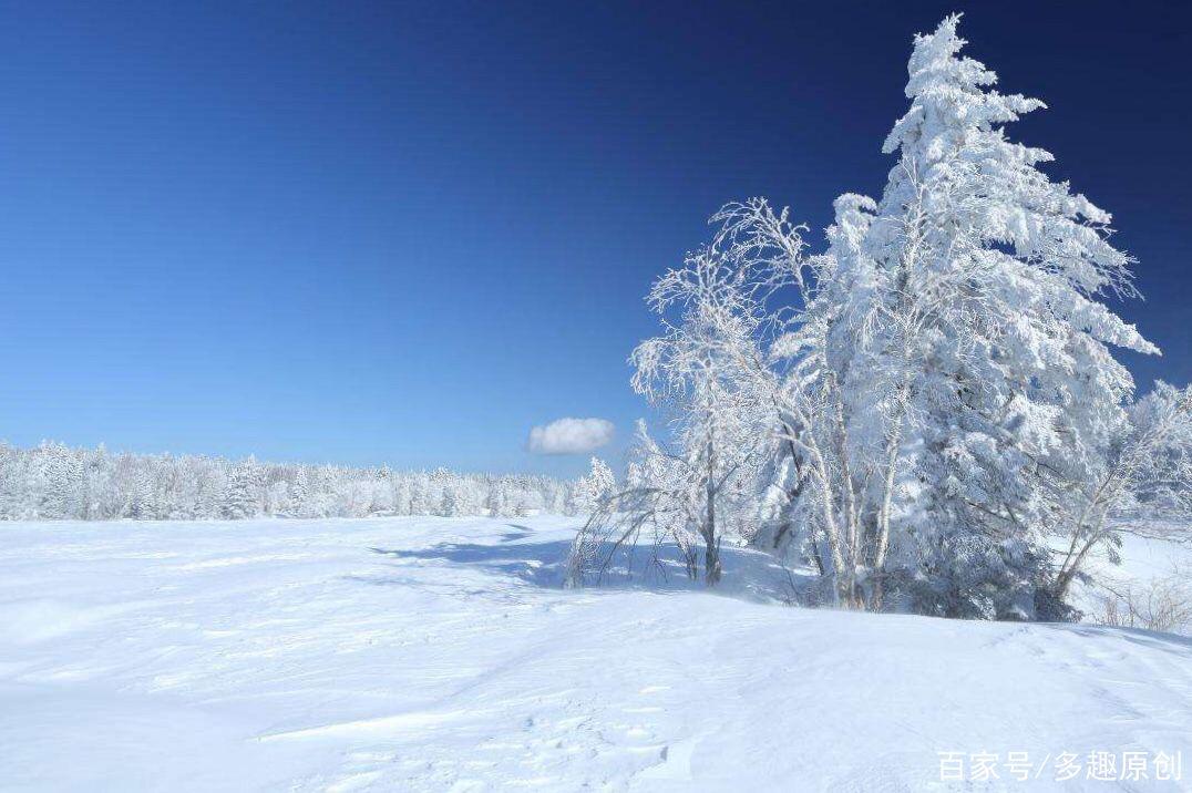 有关描写冬天美景的经典诗句句子的短句是什么（冬日皑皑的美景——以诗句为灵感）