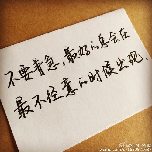 描写成功后的喜悦心情的句子40字（成功的喜悦）