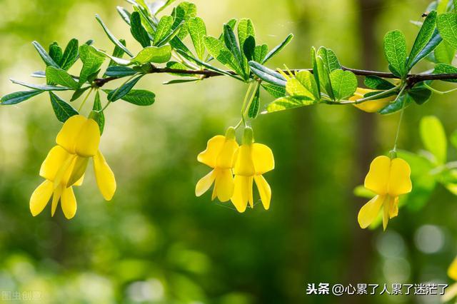 面对人生风雨的感悟句子（勇敢面对，坚韧前行）