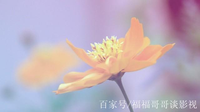 关于梦的一些优美句子（《梦中唯美之境》）