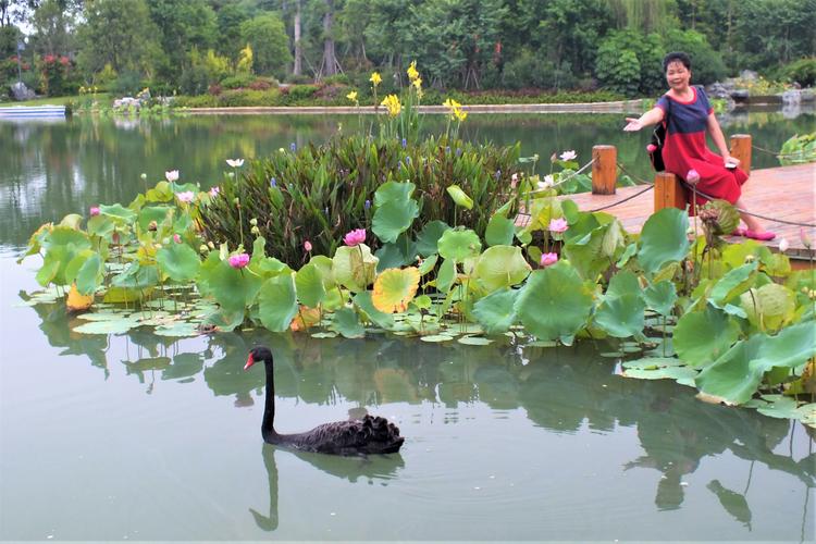 描写美人和美景的诗句（美人美景：花香四溢，美丽如画）