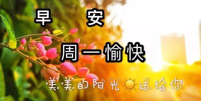 美好祝愿的简短句子祝福语（用爱点燃美好未来）