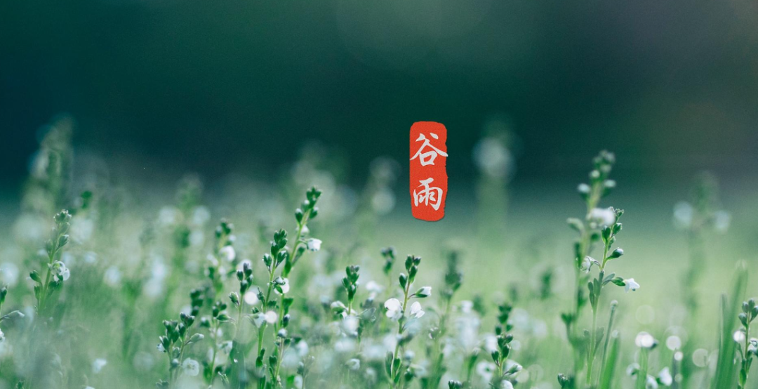 雨落生百谷，万物皆可期（有关谷雨的经典诗词）