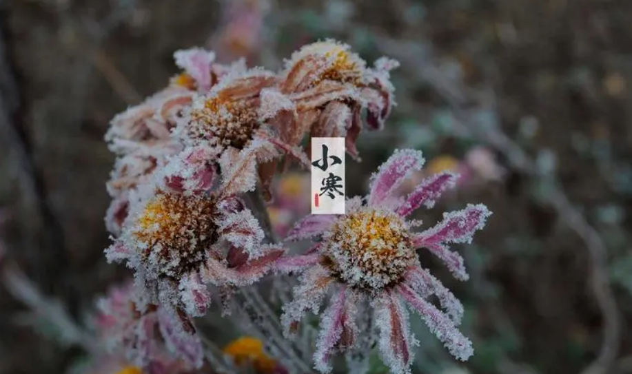 小寒经典诗词有哪些（十首小寒的著名诗词）