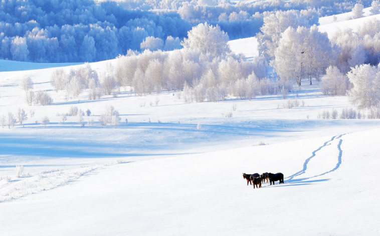 关于雪景的十二首唯美诗词（冬天雪景经典诗词）