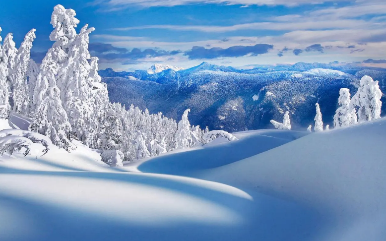 关于雪景的十二首唯美诗词（冬天雪景经典诗词）