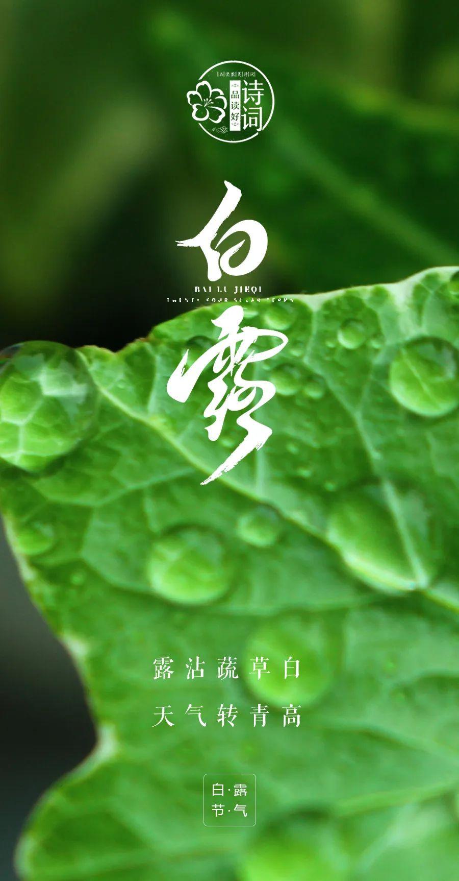 露染山河，愿君无恙（白露有关的优美诗句）