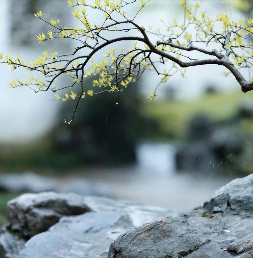 关于春雨经典诗词（12首春雨的著名诗词）