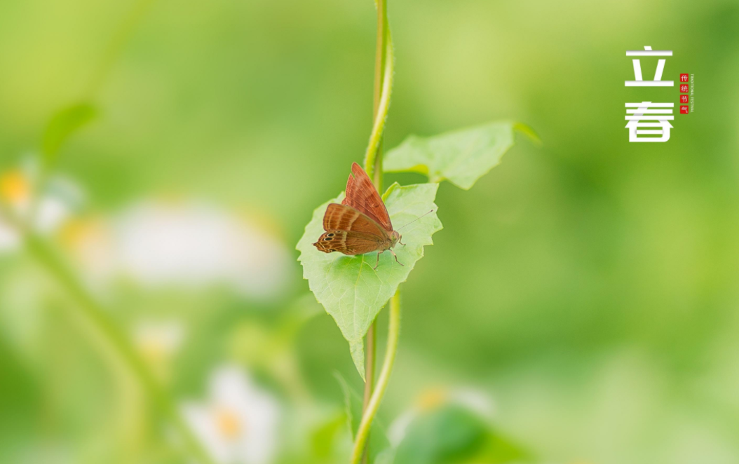 立春经典时节诗词（关于立春的12首诗词）