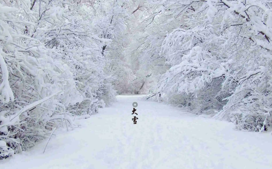 赞美大雪的诗词名句（十二首大雪的绝美诗词）