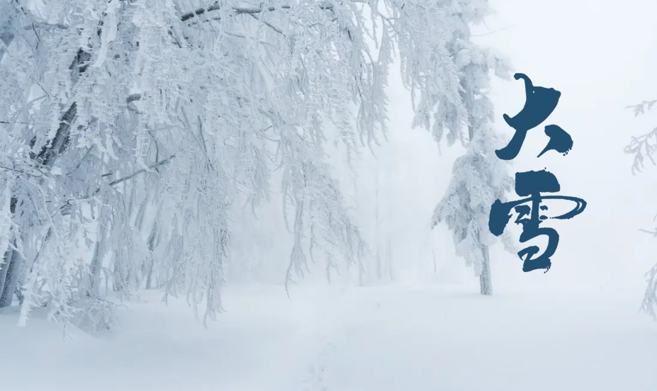 赞美大雪的诗词名句（十二首大雪的绝美诗词）