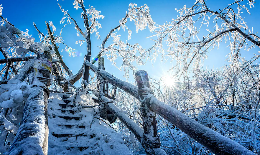 冬景似春华，莫负好时光（有关冬景的诗词著名）