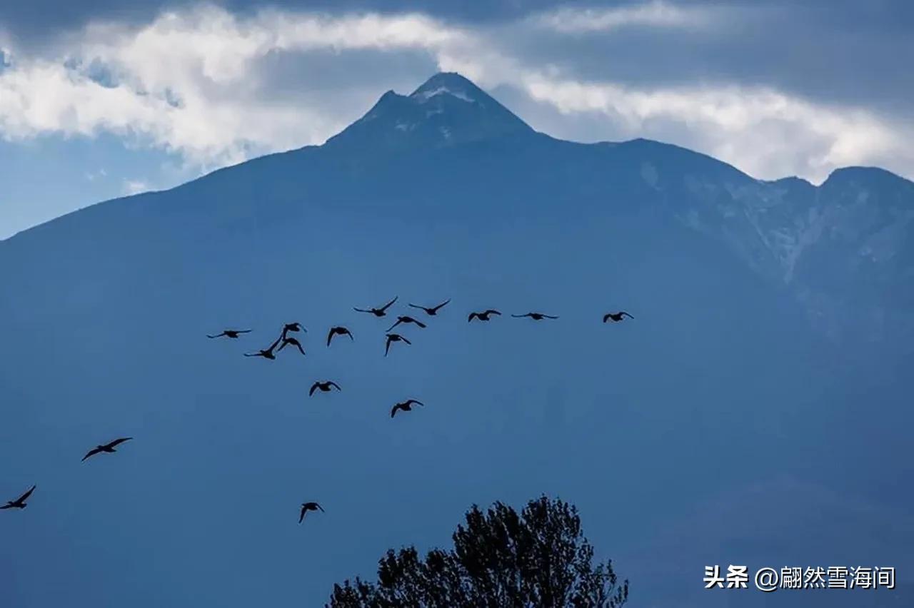 秋天诗词古句大全（10首秋天古诗词）