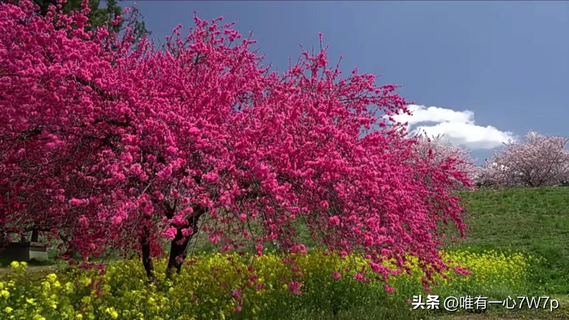 孩子不是读书的料怎么办(6点教育孩子将变得很轻松)