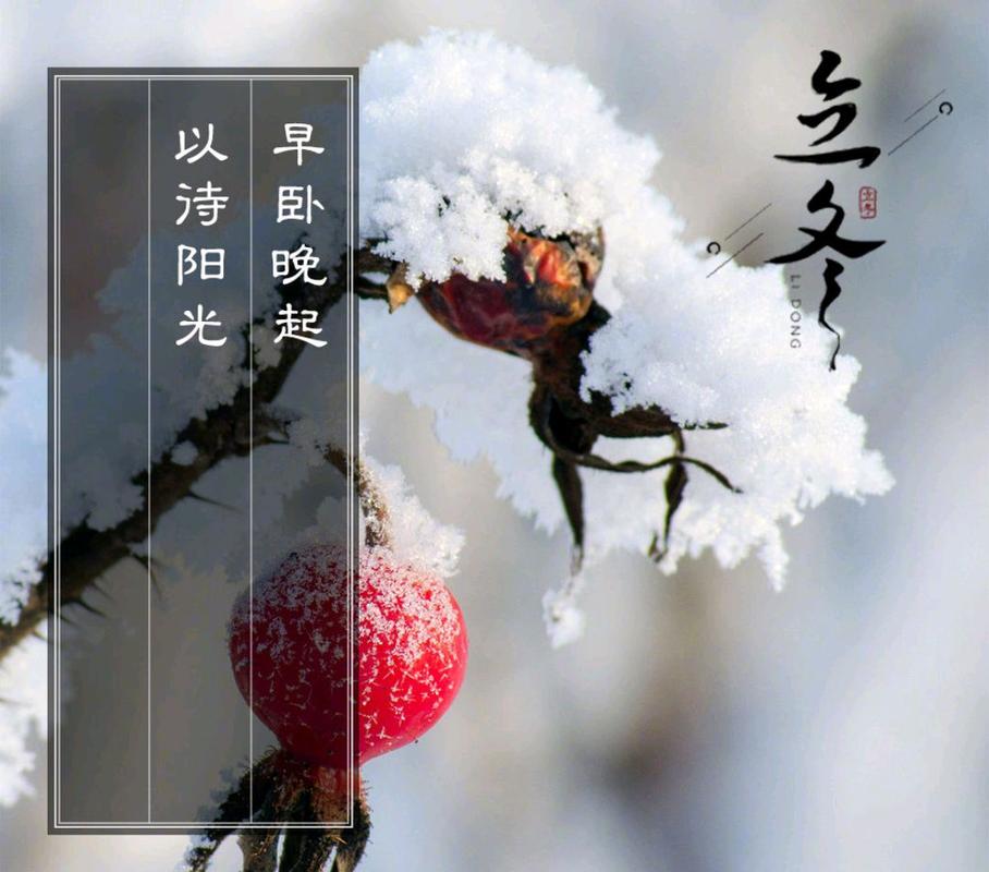 立冬发的祝福语（2024立冬祝福语简短独特朋友圈说说）