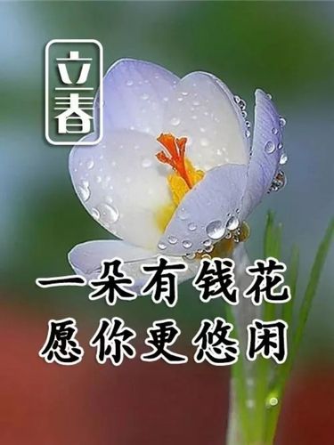 立春的祝福语怎么说（用唯美短句为新年祝福）