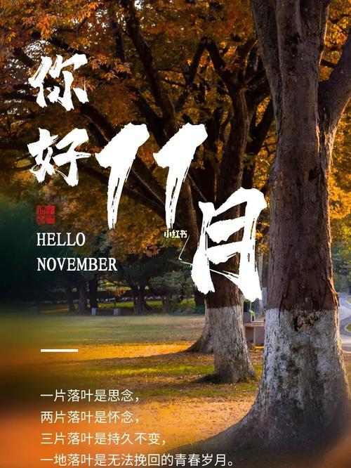 10月再见的句子（2024再见十月，青春不散场）