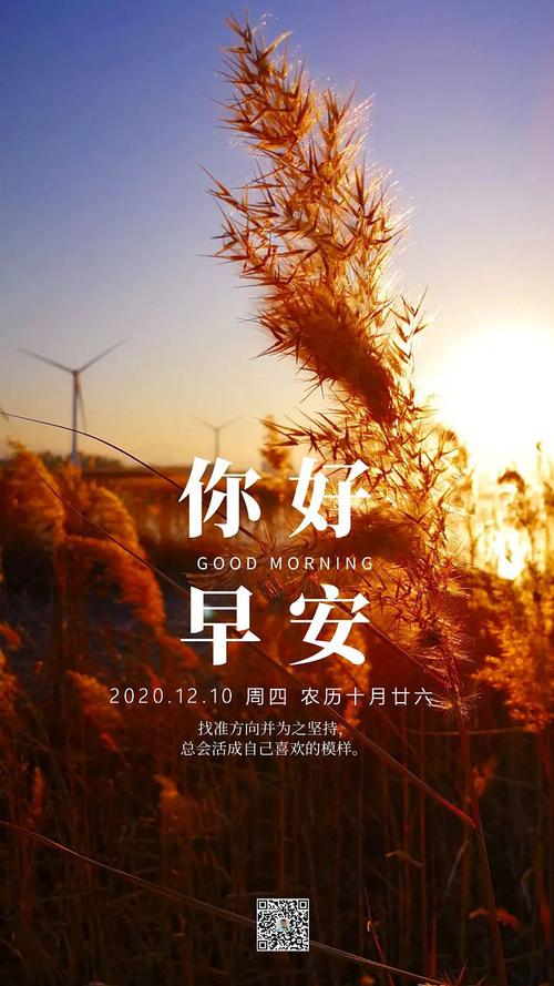 2024年早安发朋友圈的句子（2023早安微信发朋友圈好句——用唯美短句温暖你的一天）