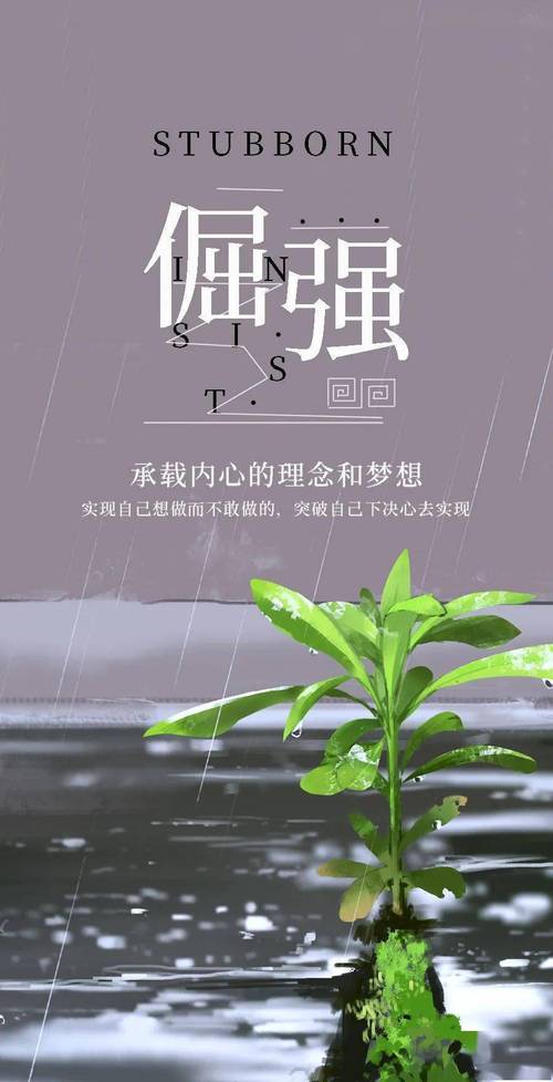 靠自己努力的语录（《靠自己努力，拥抱美好未来》）