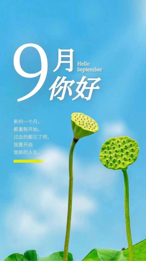 有关九月你好唯美简短句子的句子（九月你好，我想要拥抱你）