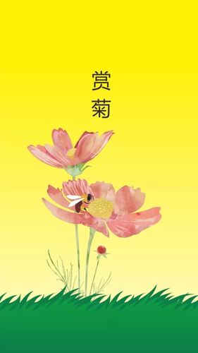 九九重阳节微信说说（九九重阳，送上最美祝福）