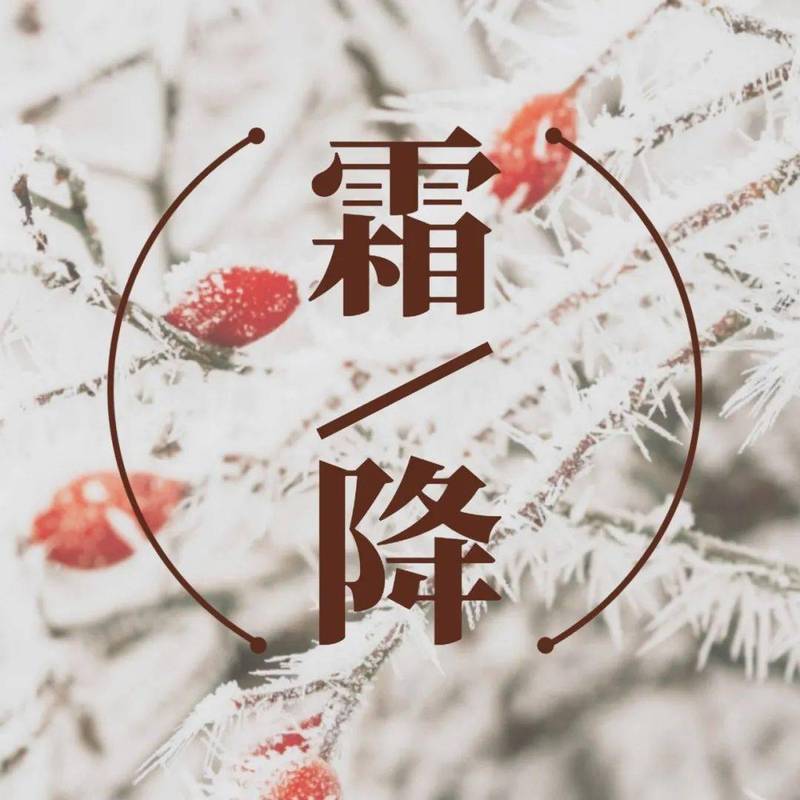 适合霜降发的朋友圈短句（霜降时节，心情如诗）