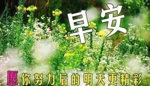 早安霸气十足简短语录（《霸气早安，一句话点亮人生》）