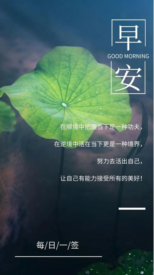 坚持真理的文章（在追求真理中获得正能量）