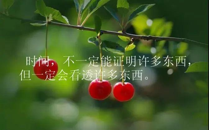 关于坚持的优美说说（追逐梦想的路上）