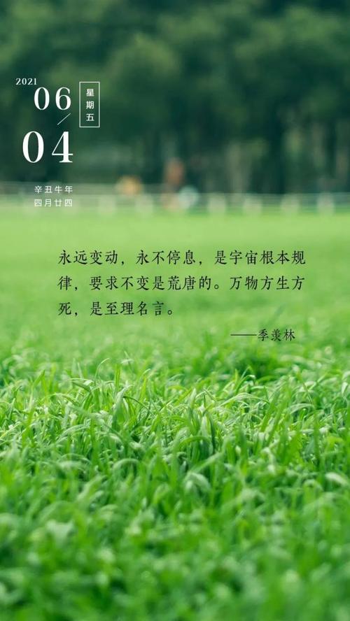 有关季羡林名言名句的句子大全（季羡林名言名句）