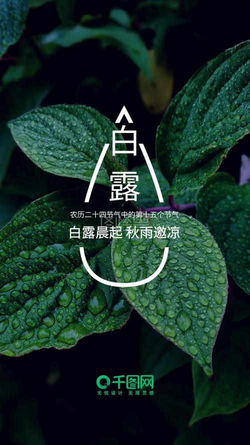 白露节气朋友圈说说（露叶初凉）