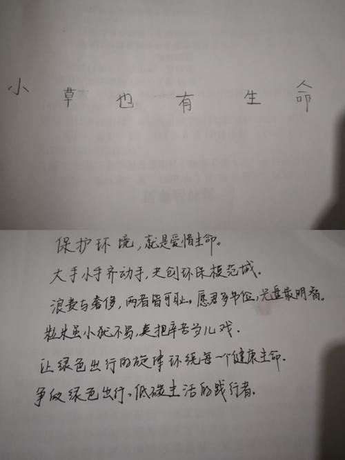 环保的经典语录优美句子（环保之美：呼吸清新的自然）