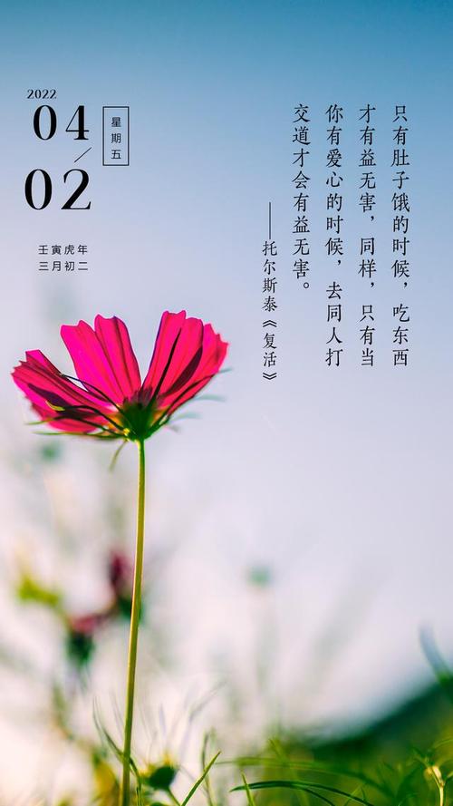 有关花的优美句子（花开时节愿你开心，花落时节愿你温暖）