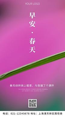 遇见花开唯美句子8字（花开遇见——唯美短句的诗意世界）