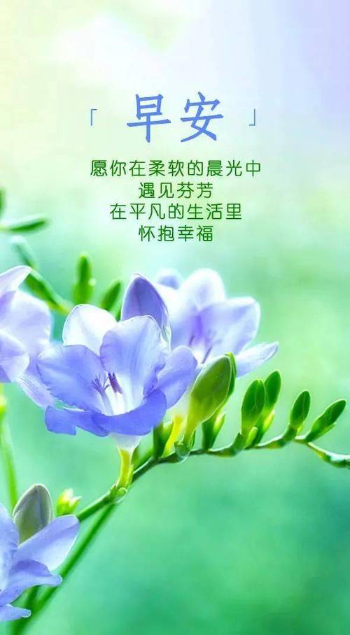 有内涵的早安文案（《唯美短句|内涵早安》）