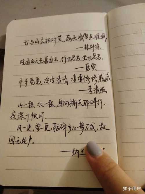 关于青春好句好段摘抄大全优美（用文字描绘青春的绚烂色彩）