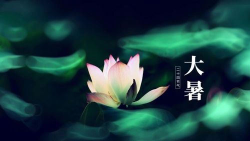 大暑祝福文案（《炎热中的祝福》）