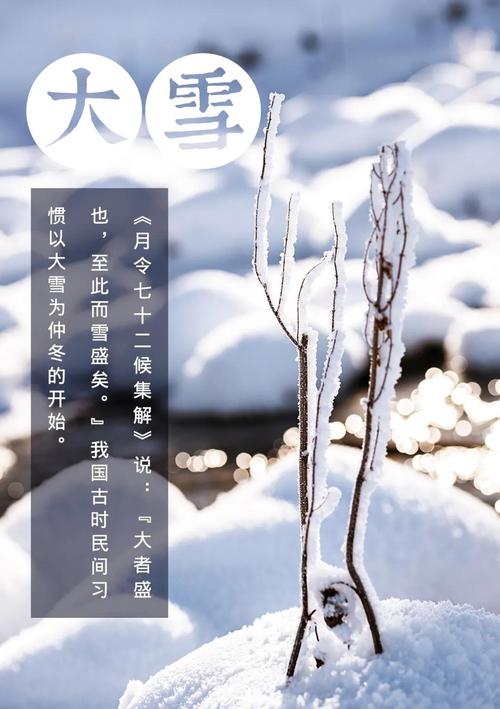 大雪节气祝福短语（大雪佳节，祝福如雪）